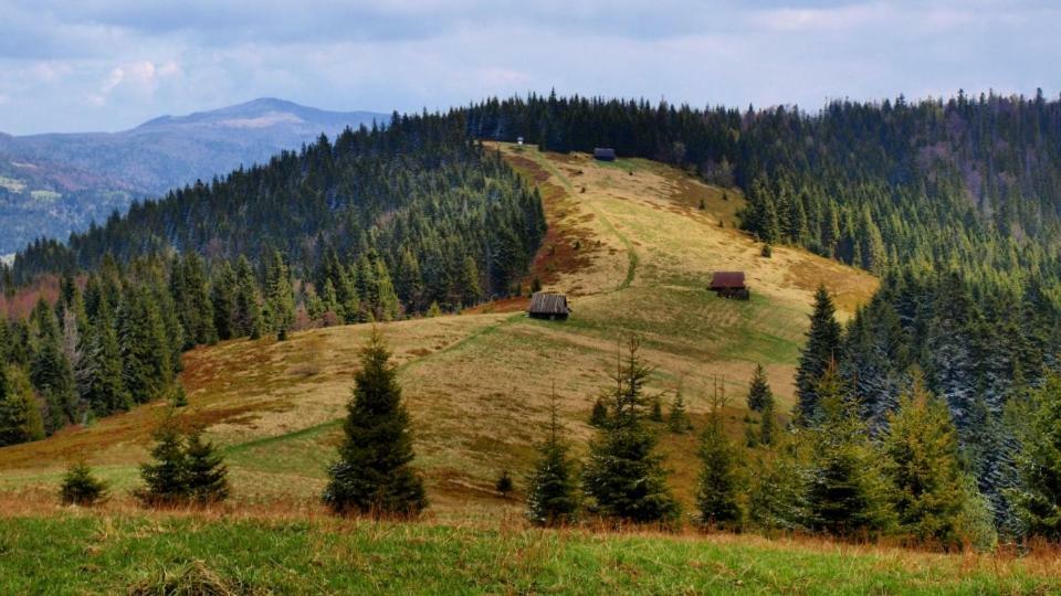 Wasielowka Poręba Wielka Buitenkant foto